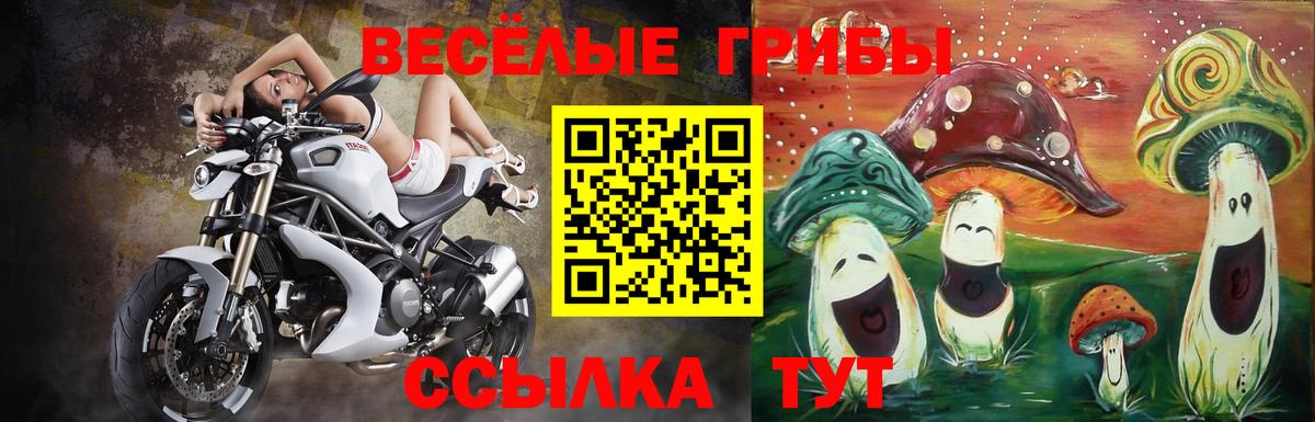 Галлюциногенные грибы мицелий Павловский Посад