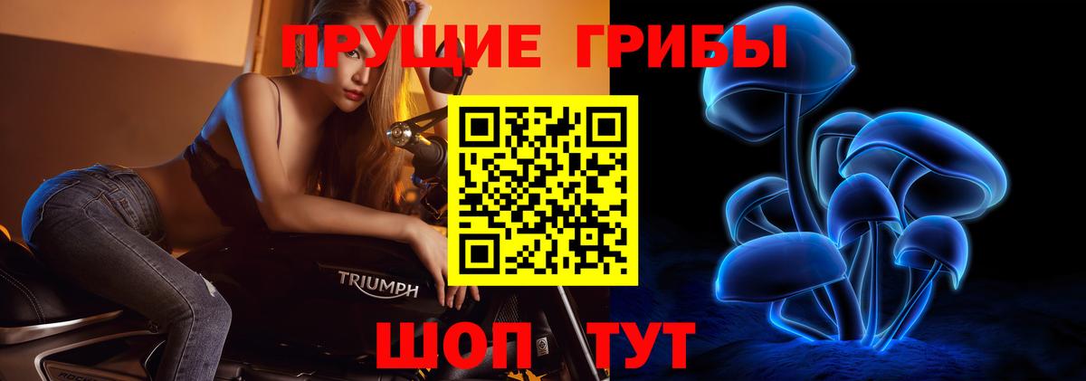 магазин продажи наркотиков  Псилоцибиновые грибы Cubensis  Вход с VPN  Павловский Посад 